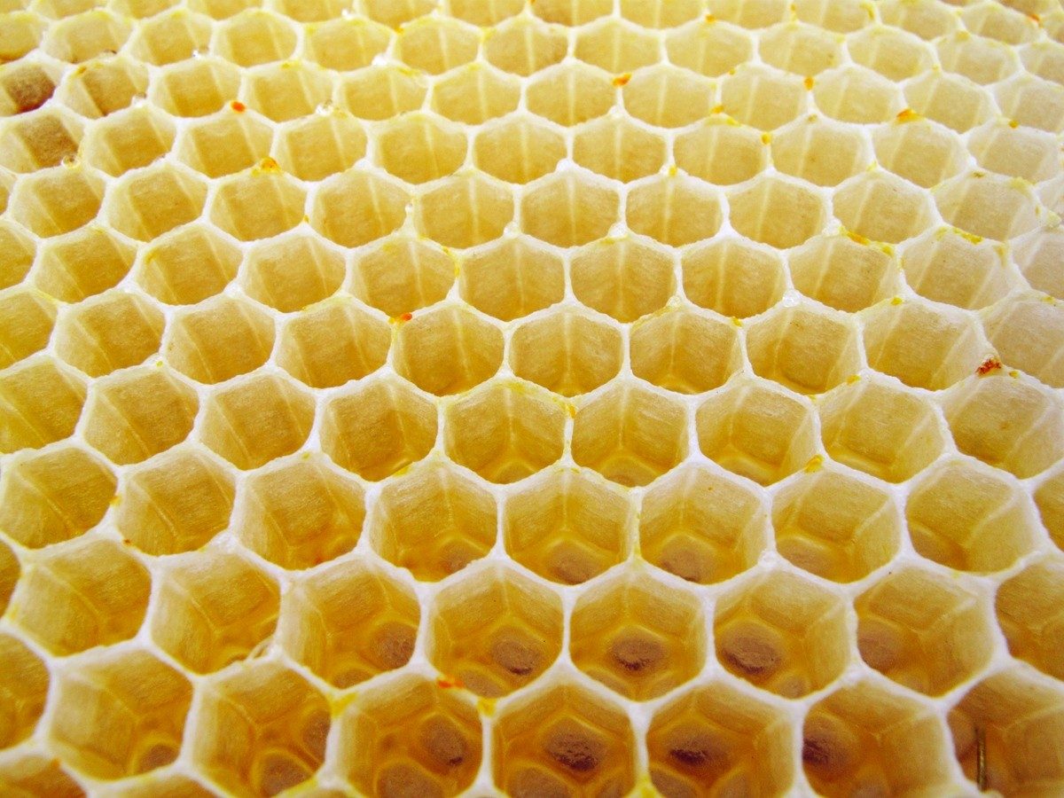 Gelée Royale