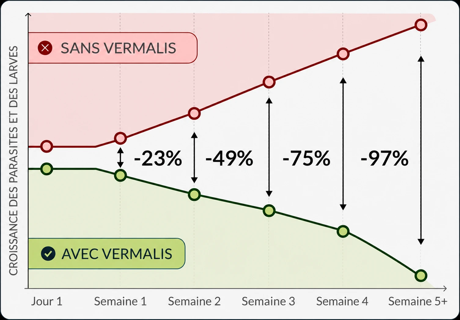 Comparatif Vermalis — sans / avec